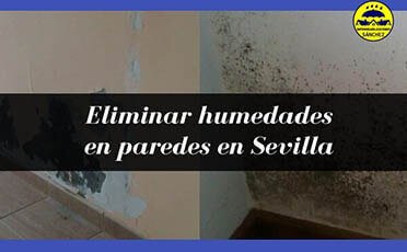 Humedades por filtración Sevilla